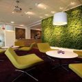 布藝獨立沙發(fā)辦公室洽談室綠色清新裝修效果圖
