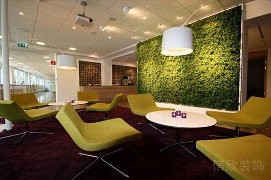 辦公室風(fēng)水植物擺放