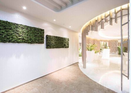 綠植壁掛壁畫設(shè)計(jì)裝修