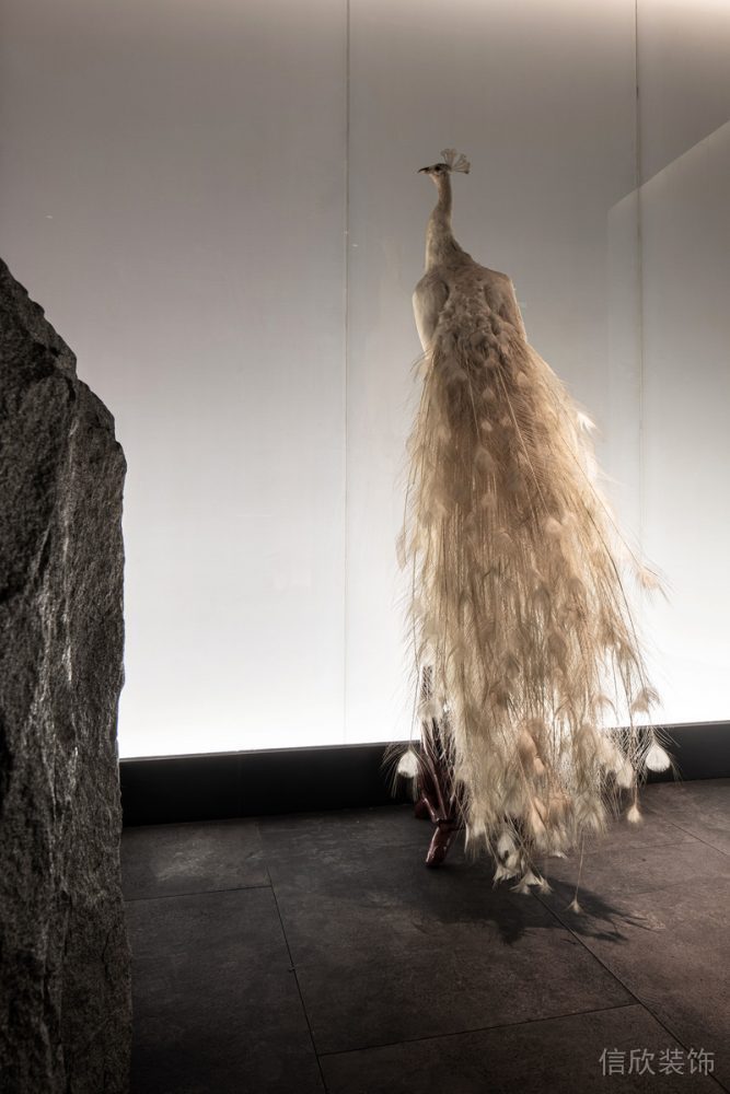 博物館展覽設(shè)計產(chǎn)品展示黑白色調(diào)簡約風(fēng)琺瑯班墻體裝修效果