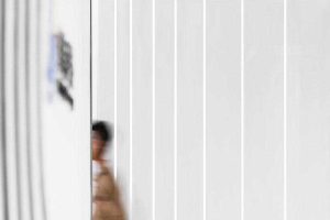 辦公室現(xiàn)代風白色藝術(shù)墻面效果圖