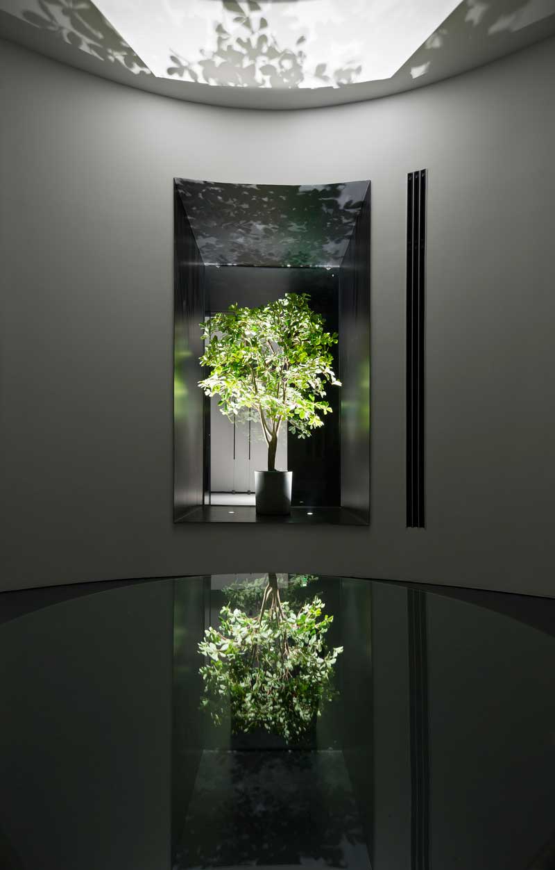 深圳寶安黑白色調(diào)辦公室綠植造型裝修 深圳寶安黑白色調(diào)辦公室綠植造型裝修