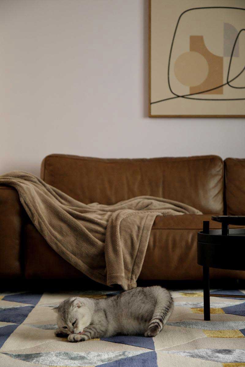 深圳龍崗區(qū)美式復(fù)古風(fēng)家裝裝修實景圖客廳沙發(fā) 深圳龍崗區(qū)美式復(fù)古風(fēng)家裝裝修實景圖客廳沙發(fā)