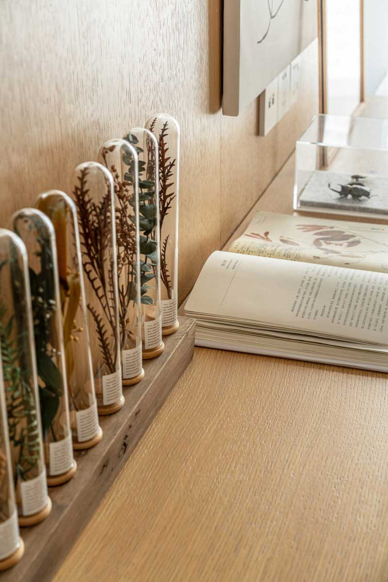 深圳南山北歐風(fēng)格家裝裝修設(shè)計(jì)開(kāi)放式書(shū)房飾品 深圳南山北歐風(fēng)格家裝裝修設(shè)計(jì)開(kāi)放式書(shū)房飾品