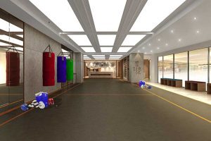 跆拳道道館裝修效果圖天花平頂燈帶設(shè)計(jì)鏡面裝飾多功能教室裝修