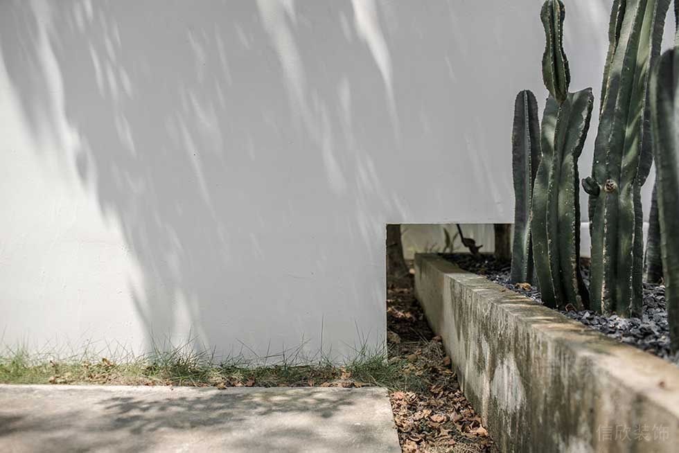 簡約風(fēng)格辦公室園林休閑區(qū)仙人掌綠植景觀效果圖