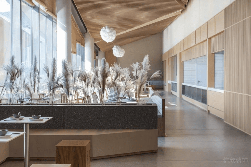 深圳寶安天琴閣原木色調(diào)田園簡(jiǎn)約風(fēng)素食館裝修案例綠植裝飾 深圳寶安天琴閣原木色調(diào)田園簡(jiǎn)約風(fēng)素食館裝修案例綠植裝飾