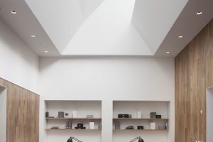 深圳寶安匯聚創(chuàng)新園1000平方米淺色調(diào)原木簡約風(fēng)辦公室裝修案例辦公區(qū)純白色天花