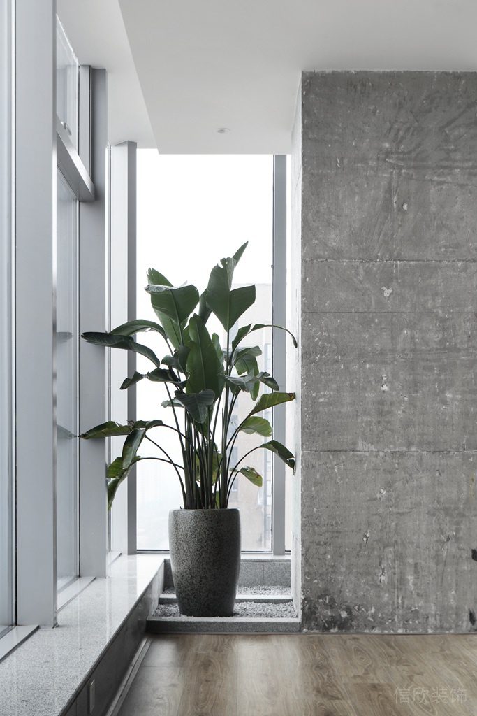 深圳龍華衛(wèi)東龍商務(wù)大廈300平方米簡(jiǎn)約素色風(fēng)格辦公室裝修案例綠植裝飾