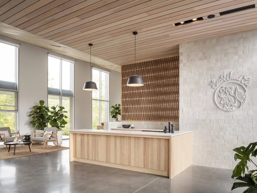 深圳市福田區(qū)華強(qiáng)原木風(fēng)海藻品牌 SeaWeed Co旗艦店裝修設(shè)計(jì)-前臺(tái)