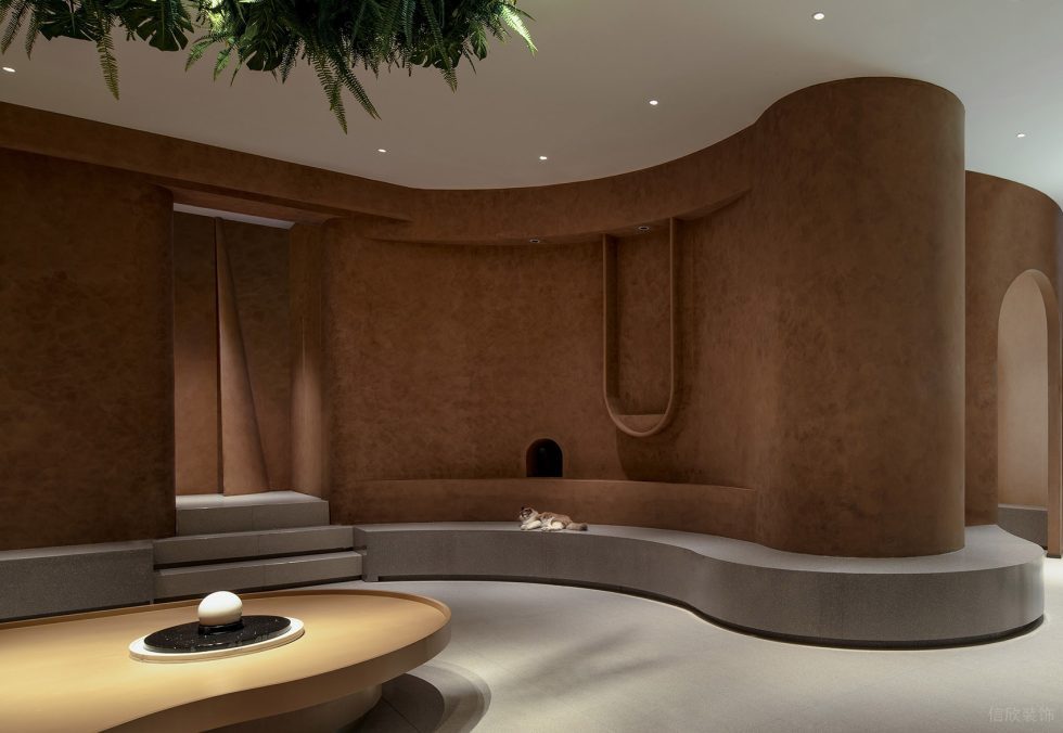 深圳市龍崗區(qū)橫崗有貓植說寵物店裝修設(shè)計-曲線型大廳二 深圳市龍崗區(qū)橫崗有貓植說寵物店裝修設(shè)計-曲線型大廳二