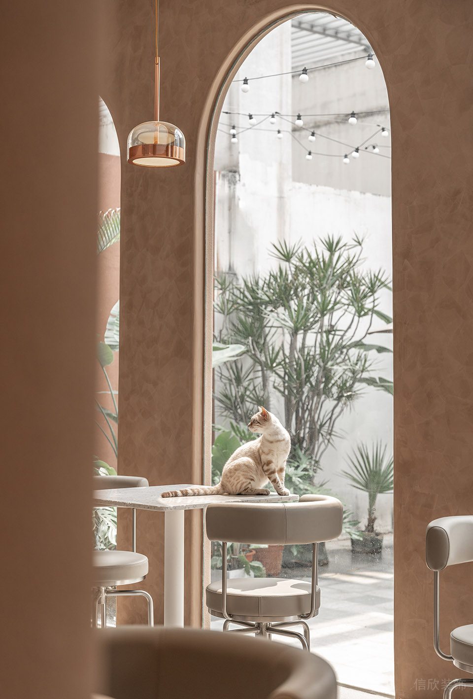 深圳市龍崗區(qū)橫崗有貓植說寵物店裝修設(shè)計 休息區(qū)二 深圳市龍崗區(qū)橫崗有貓植說寵物店裝修設(shè)計 休息區(qū)二