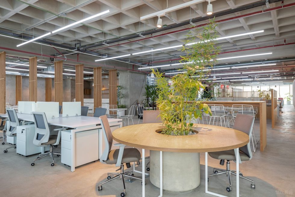 原木工業(yè)風辦公室裝修設計圓臺討論區(qū) 原木工業(yè)風辦公室裝修設計圓臺討論區(qū)