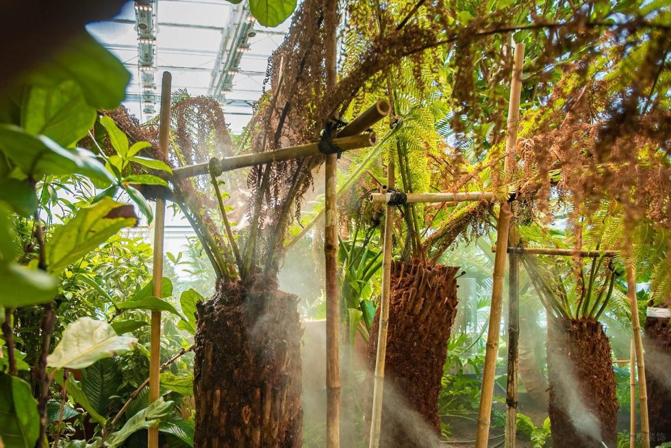 異域花園風(fēng)辦公室裝修設(shè)計(jì) 大廳綠植景觀(guān)