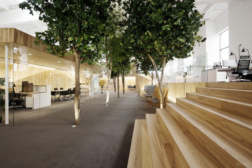 自然原木風(fēng)辦公室裝修設(shè)計(jì)淺木色辦公大廳 自然原木風(fēng)辦公室裝修設(shè)計(jì)淺木色辦公大廳