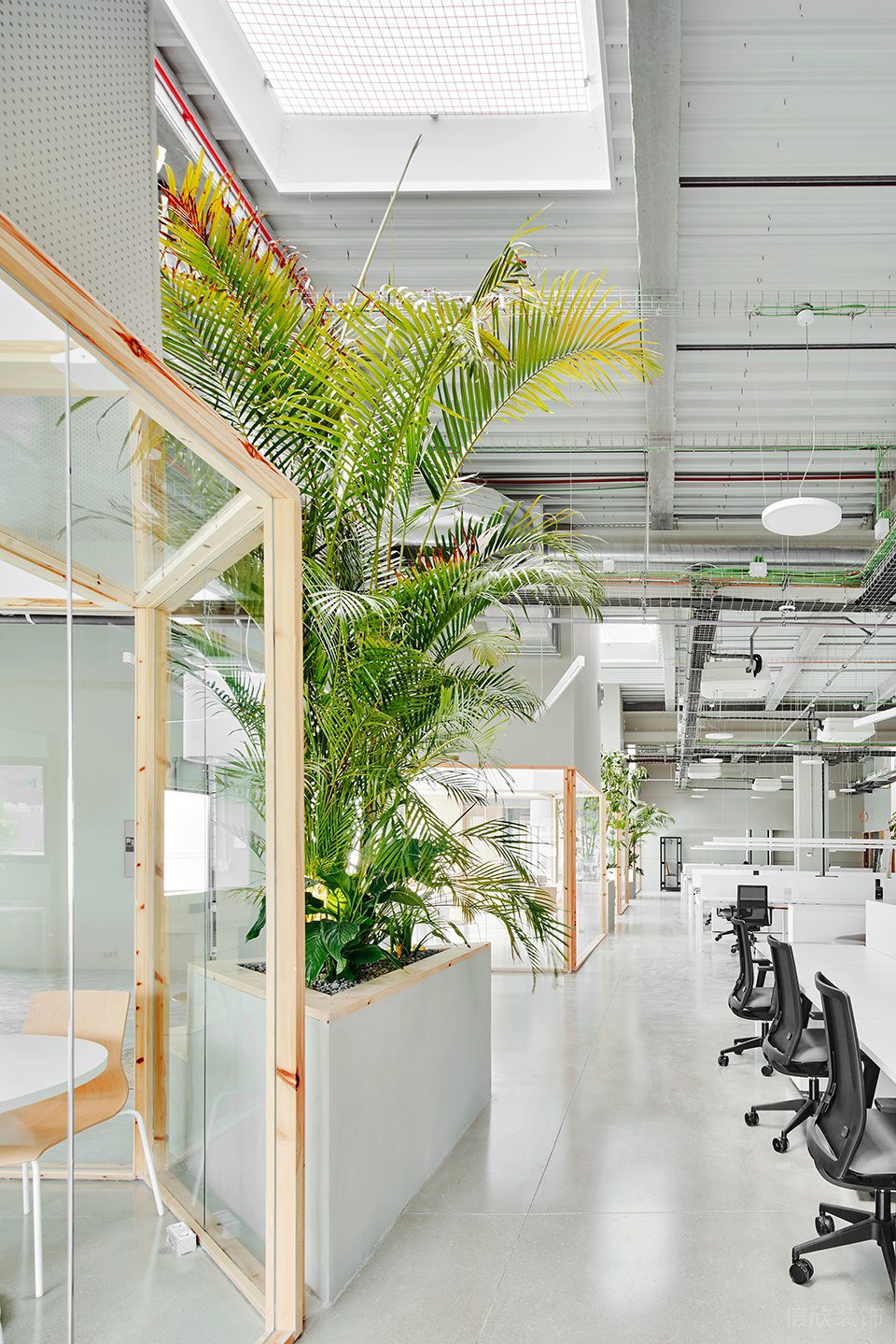 素木色簡約自然風(fēng)辦公室裝修設(shè)計(jì)翠綠色裝飾植物 素木色簡約自然風(fēng)辦公室裝修設(shè)計(jì)翠綠色裝飾植物