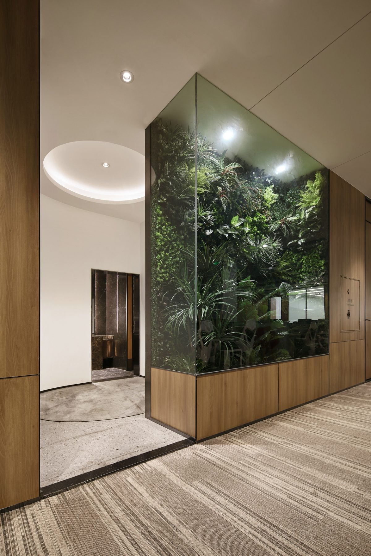 綠色植物墻體設(shè)計(jì)玻璃展示柜設(shè)計(jì)實(shí)木設(shè)計(jì)辦公室過(guò)道效果圖
